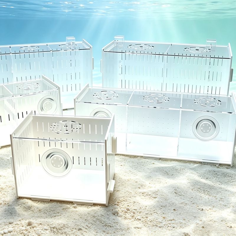 Aquarium Fish Parrot - Séparateur d'aquarium avec couvercle, incubateur multifonctionnel