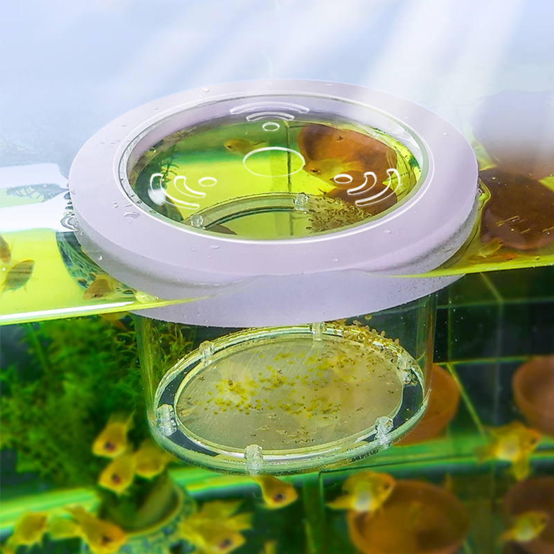 Aquarium Fish Jar - Incubateur d'Aquarium en Acrylique Transparent, Boîte