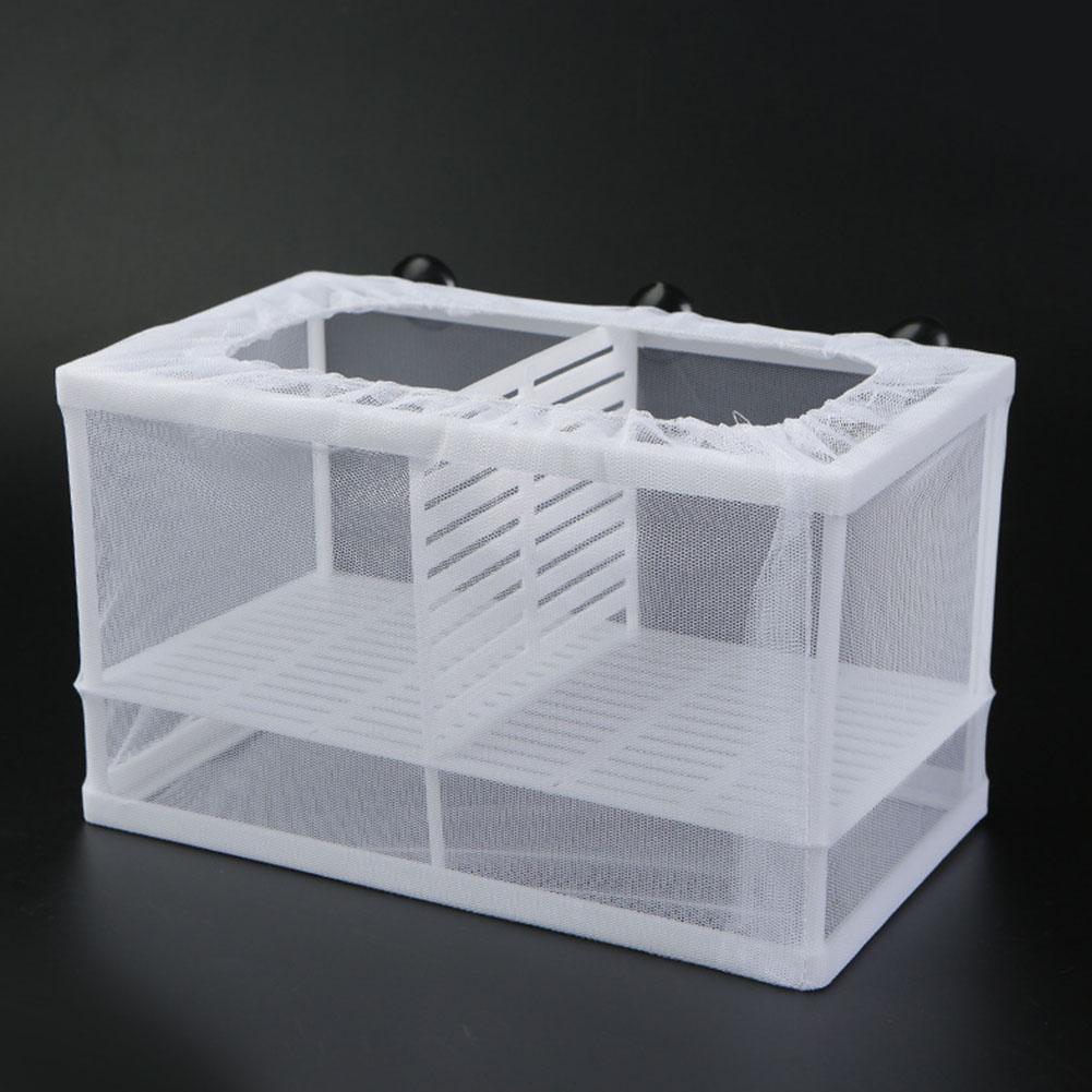 Aquarium Fish Jar - Boîte d'élevage pour poissons d'aquarium avec