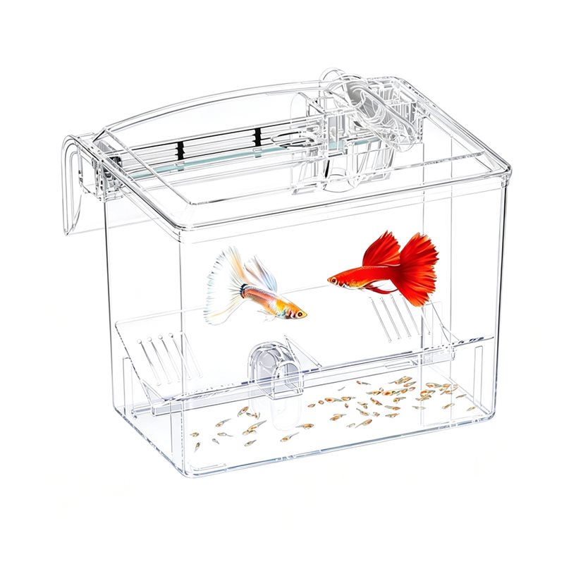 Aquarium Fish Jar - Boîte d'élevage de poissons A25F, boîte