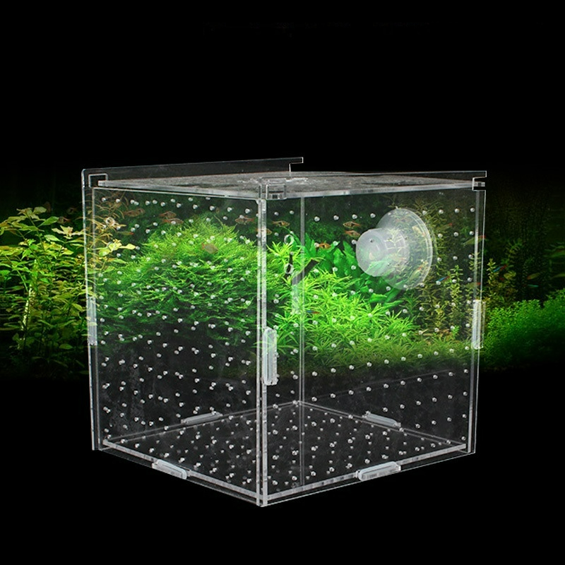 Aquarium Fish Net Small - Boîte d'isolation en acrylique pour Aquarium