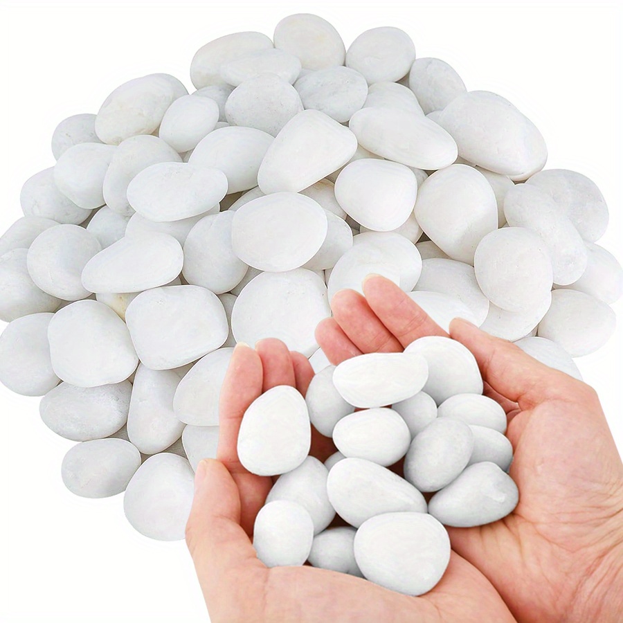 Aquarium Fish Buy - Cerfsets naturels blancs hautement polis, 200/400g,