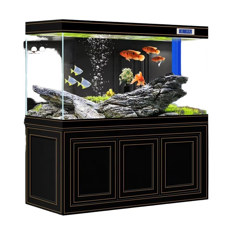 Aquarium Fish Dragon - Aquarium de salon, maison, verre ultra-transparent,