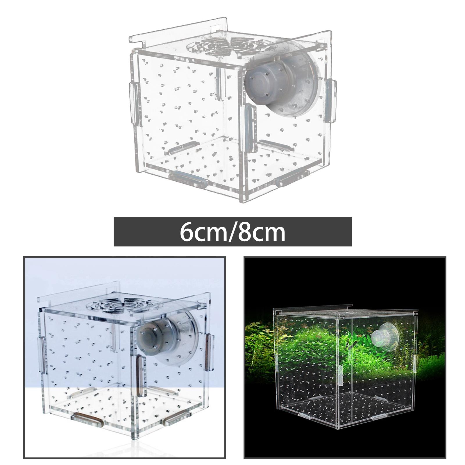 Aquarium Fish Jar - Boîte d'élevage de poissons, ventouse transparente