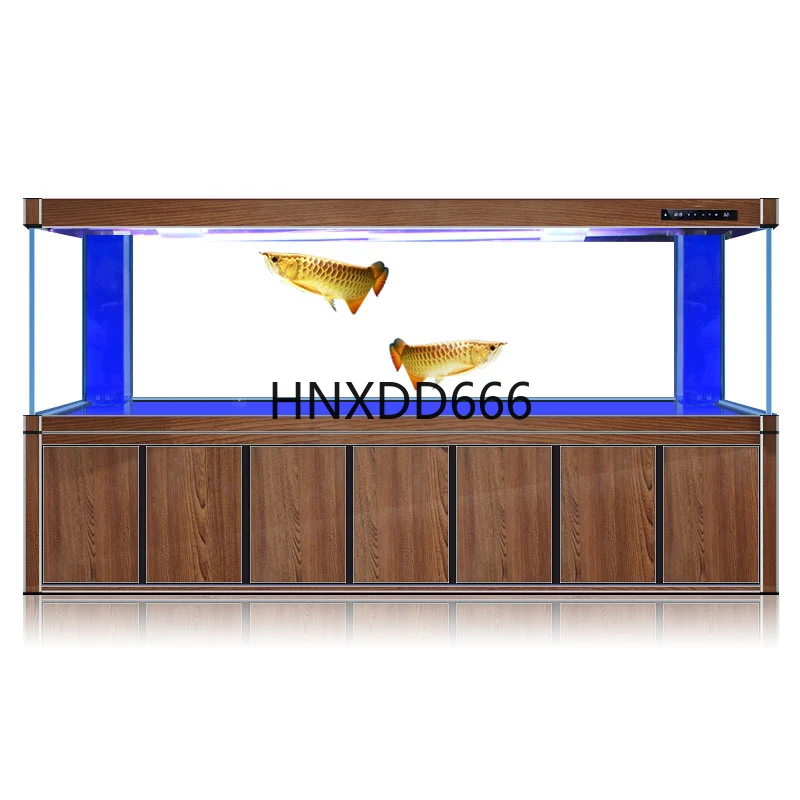 Aquarium Fish Dragon - Grand aquarium pour poissons dragons dorés,