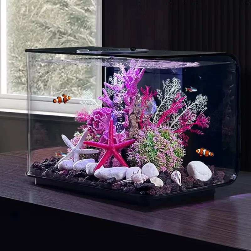 Aquarium Fish Supplier - Aquarium de salon, petit aquarium, fournisseur,