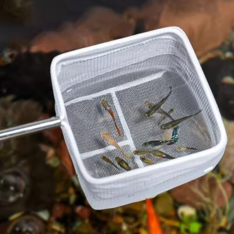 Outils de nettoyage d'aquarium - Aquarium Fish Net Small avis et prix