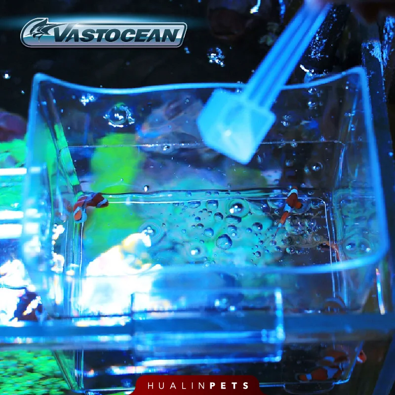 Vastocean – boîte à outils mul - Aquarium Fish Jar avis et prix