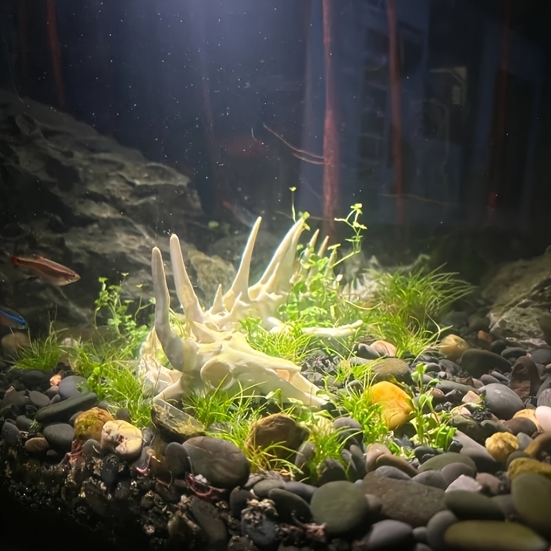 1 pièce Décoration de bac à po - Aquarium Fish Dragon avis et prix