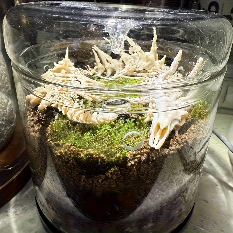 1 pièce Décoration de bac à po - Aquarium Fish Dragon avis et prix