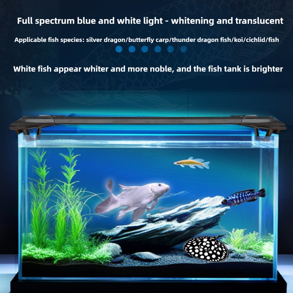 Barre lumineuse LED pour Aquar - Aquarium Fish Parrot avis et prix