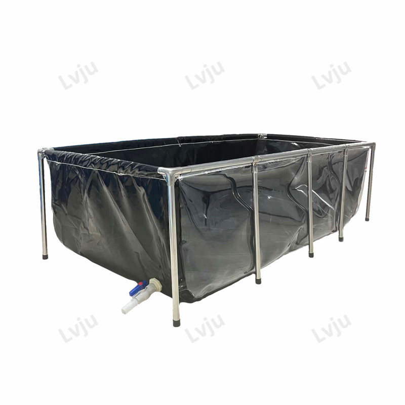 LvMozambique-Aquarium de poiss - Aquarium Xxl avis et prix