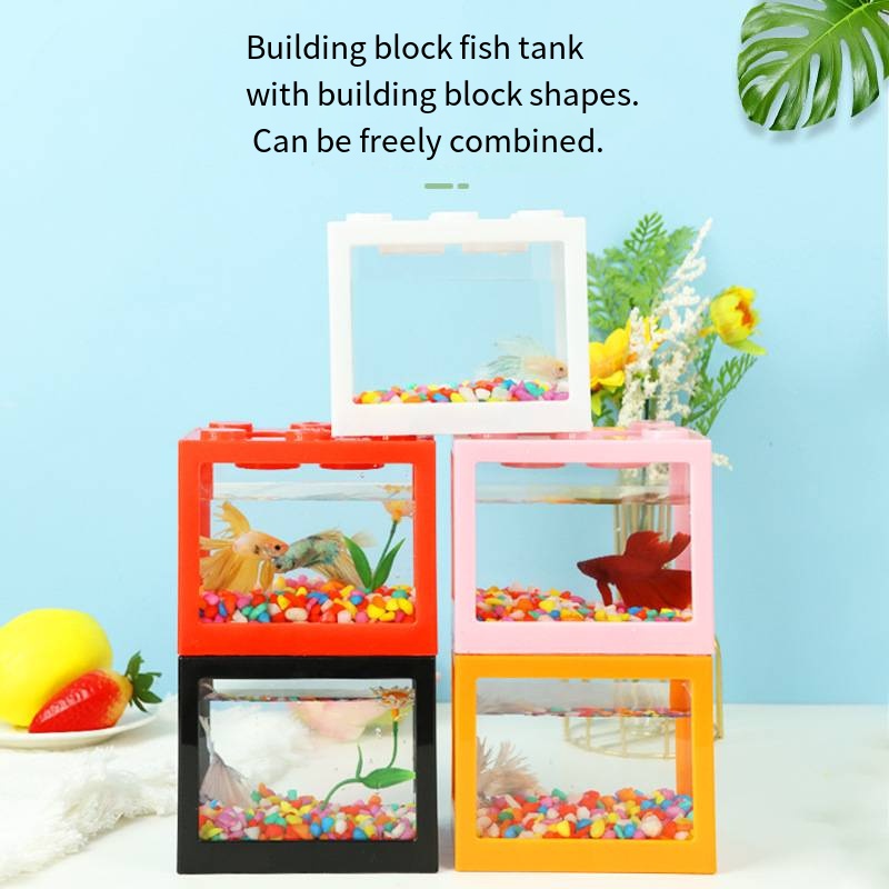 Nouveauté : Mini aquarium en f - Aquarium Fish Jar avis et prix