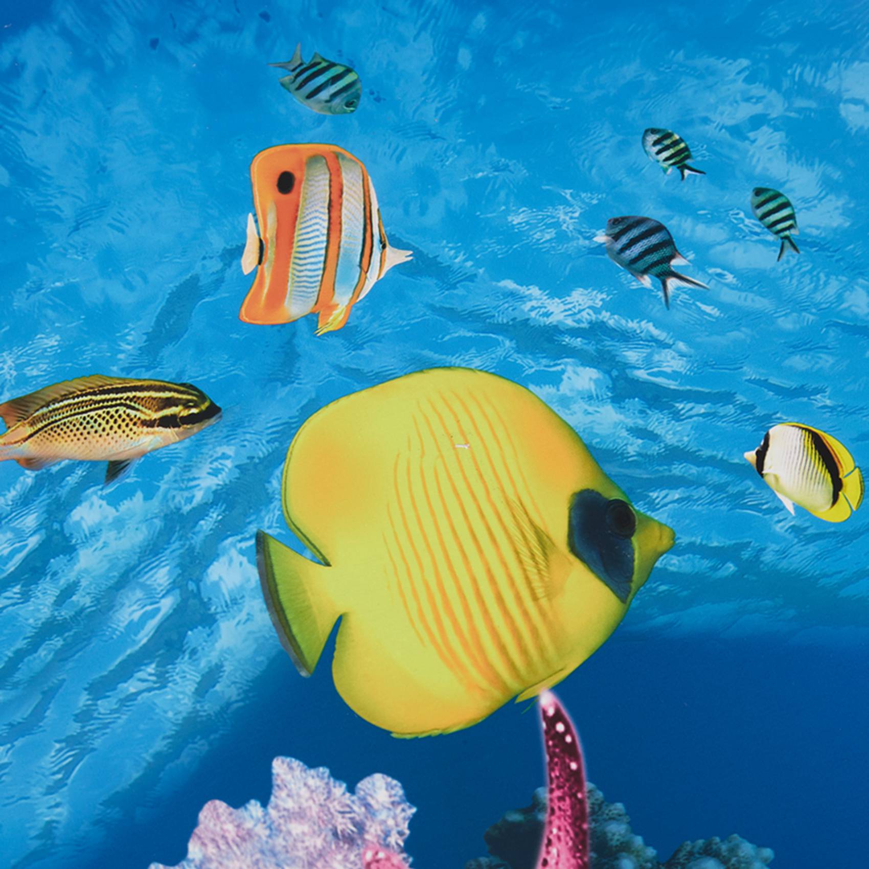 Papier de fond pour aquarium A - Aquarium Fish Wallpaper Hd avis et prix