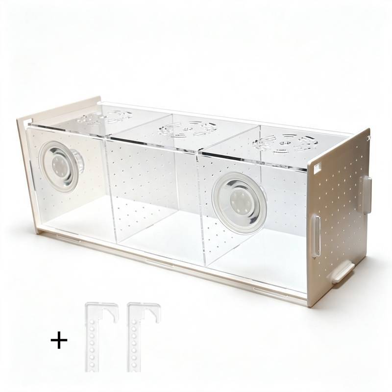 Boîte d'élevage multifonctionn - Aquarium Fish Parrot avis et prix