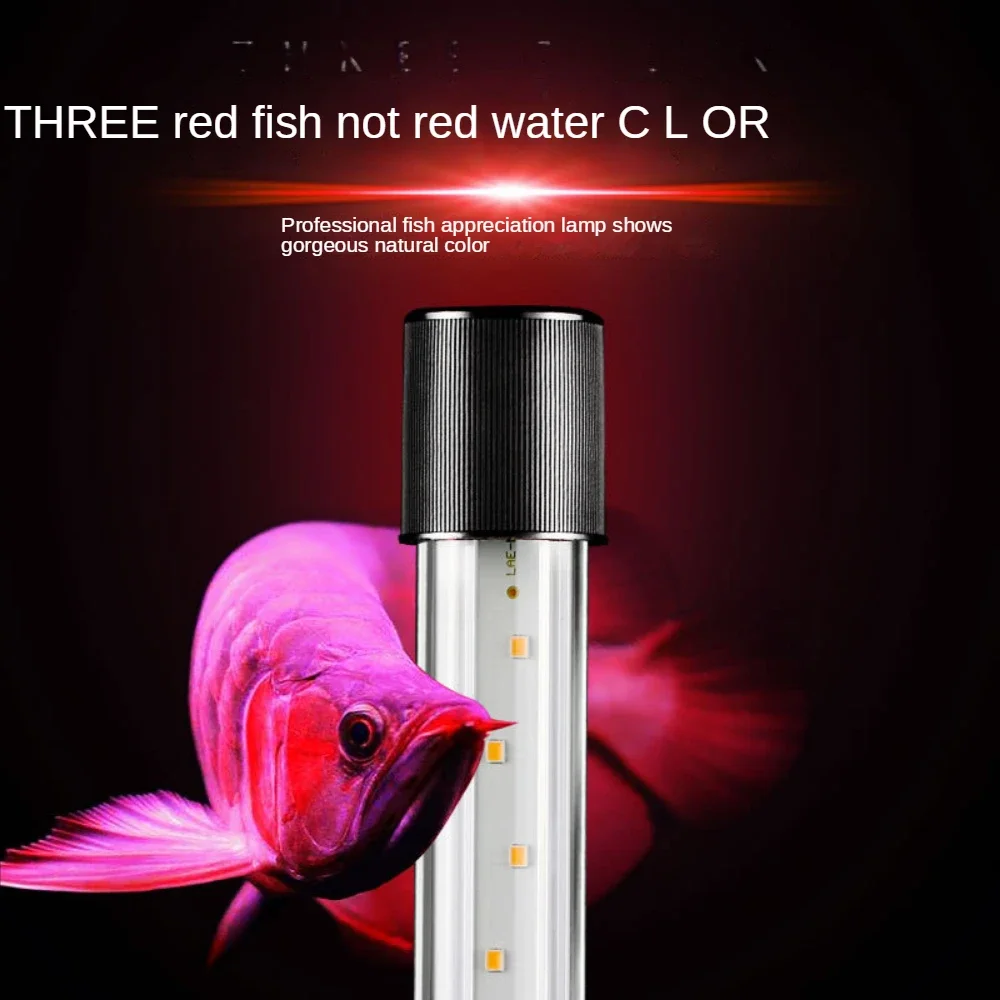 Lampe LED de paysage d'aquariu - Aquarium Fish Parrot avis et prix