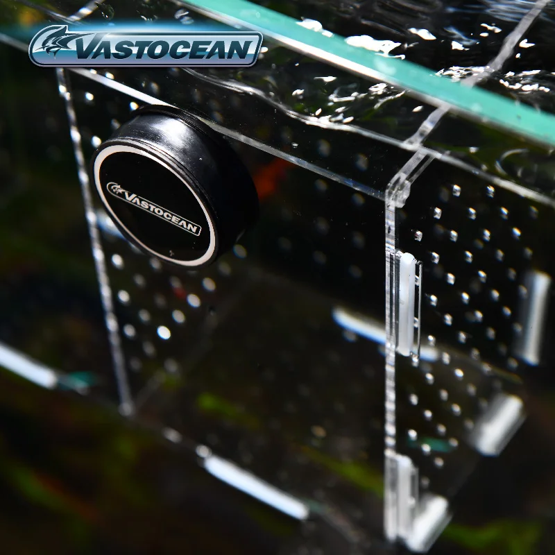 Vastocean-Boîte d'isolement co - Aquarium Fish Jar avis et prix