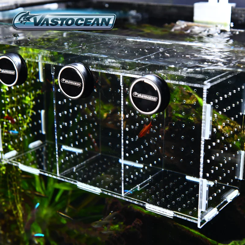 Vastocean-Boîte d'isolement co - Aquarium Fish Jar avis et prix