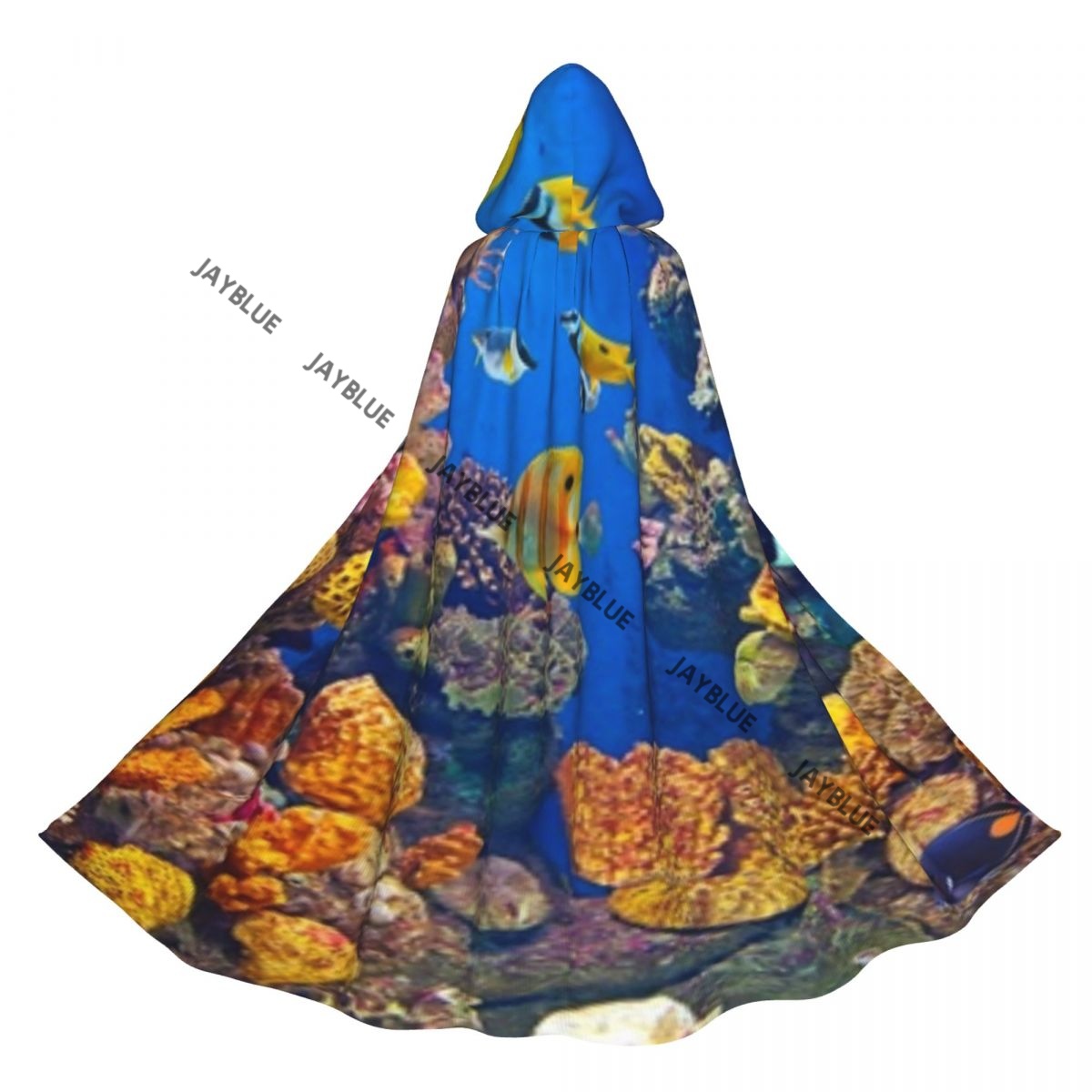 Cape de poissons colorés d'aqu - Aquarium Queen Fish avis et prix