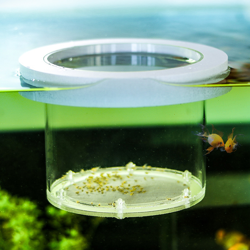 Incubateur d'Aquarium en Acryl - Aquarium Fish Jar avis et prix