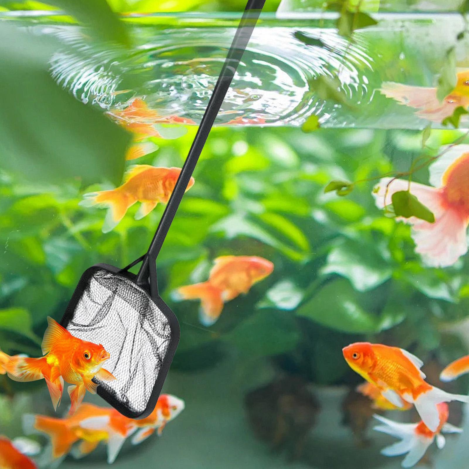 Filets de nettoyage pour pisci - Aquarium Fish Buy avis et prix