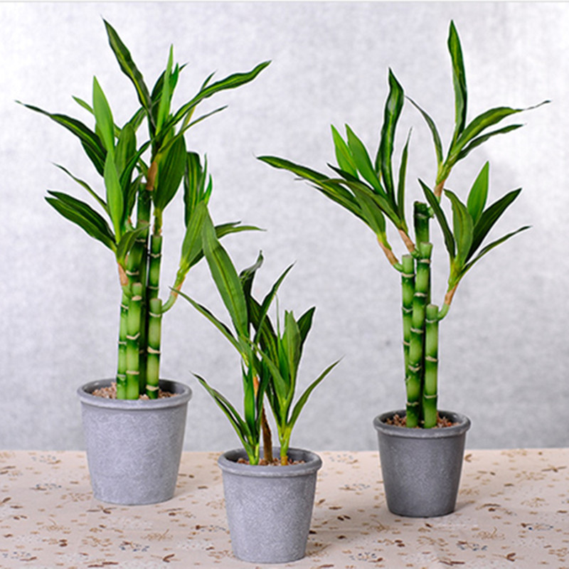 Nouvelle plante artificielle B - Aquarium Fish Buy avis et prix