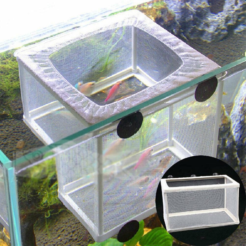 Boîte d'élevage pour poissons  - Aquarium Fish Jar avis et prix