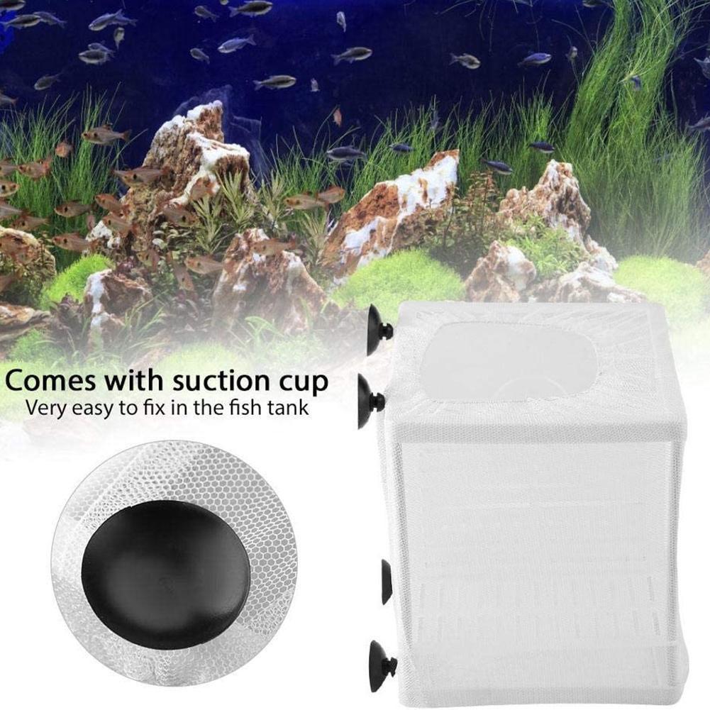 Boîte d'élevage pour poissons  - Aquarium Fish Jar avis et prix