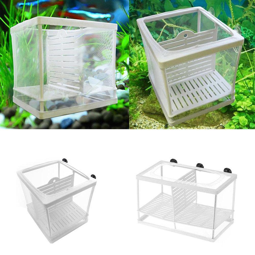 Boîte d'élevage pour poissons  - Aquarium Fish Jar avis et prix