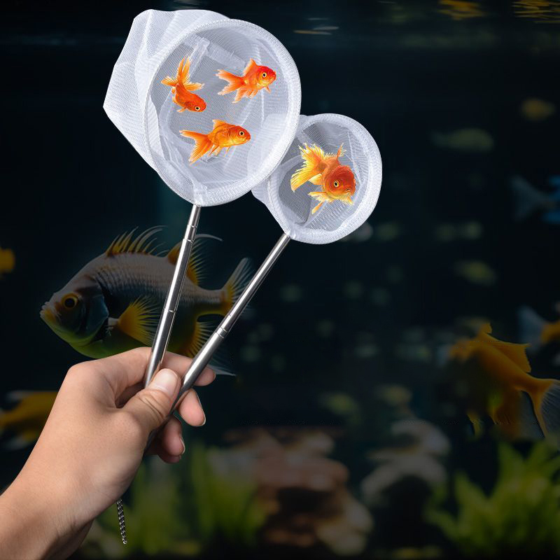Filet de pêche pour poissons d - Aquarium Fish Net Small avis et prix