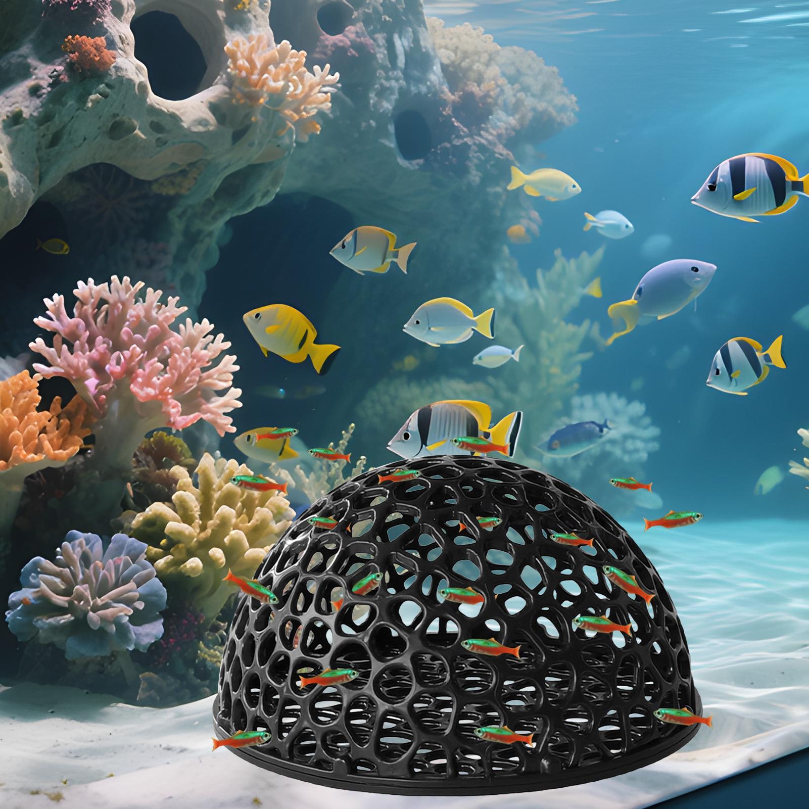 Abri de grotte pour Aquarium,  - Aquarium Fish Hiding Places avis et prix