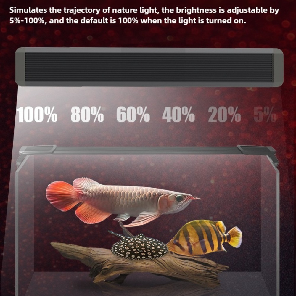 Éclairage LED pour aquarium, l - Aquarium Fish Parrot avis et prix