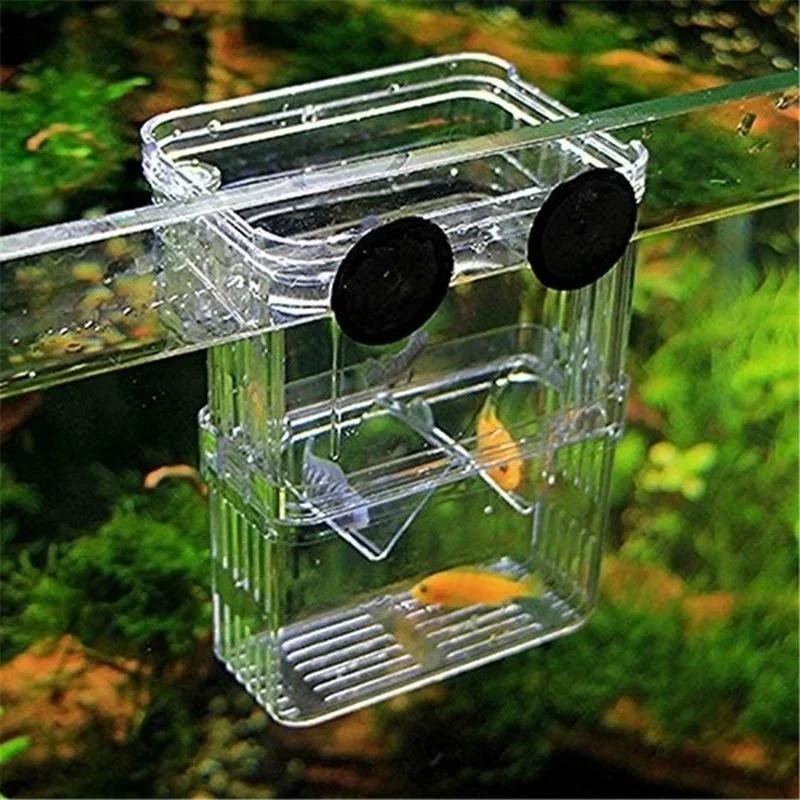 Boîte d'isolation transparente - Aquarium Fish Jar avis et prix