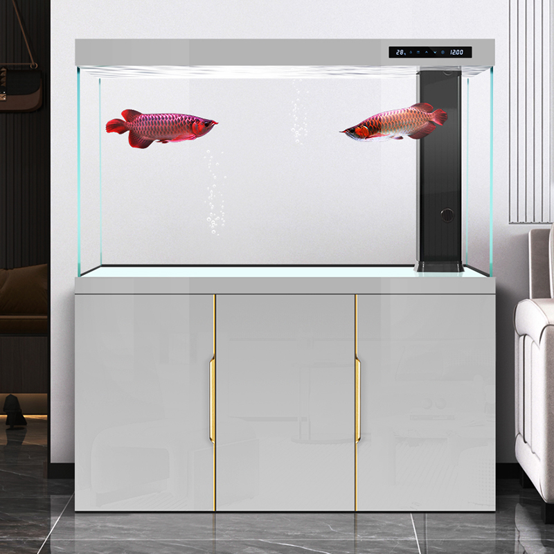 Aquarium salon 2025 nouveau ve - Aquarium Fish Dragon avis et prix