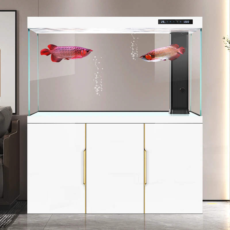 Aquarium salon 2025 nouveau ve - Aquarium Fish Dragon avis et prix