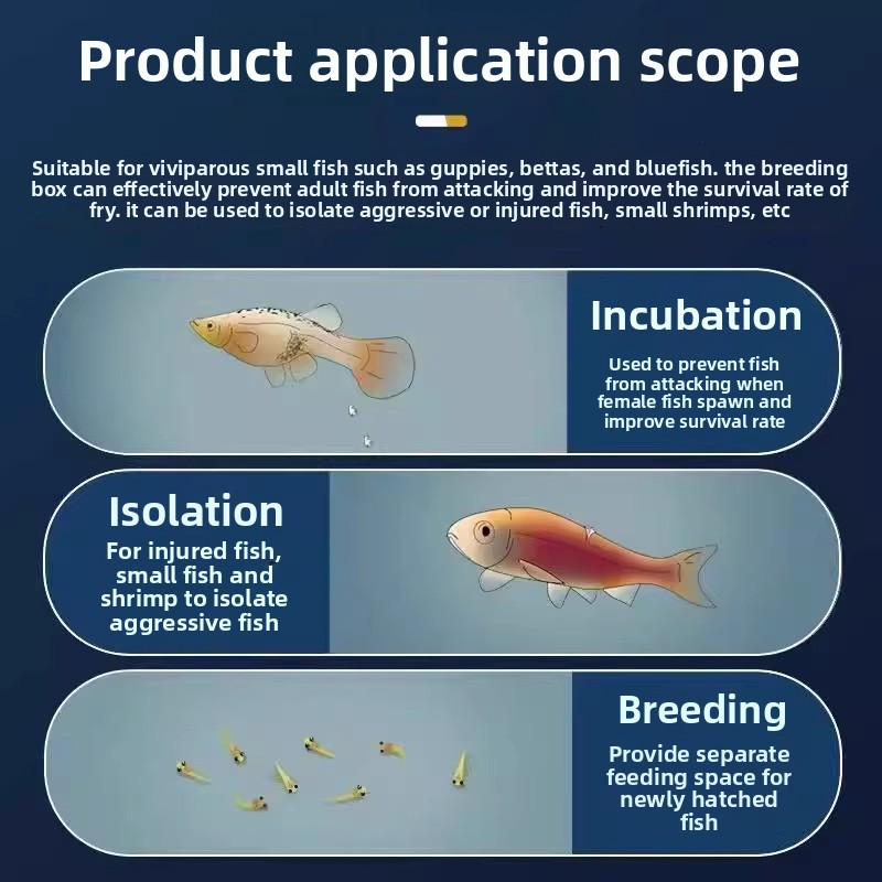 Boîte d'isolation en filet pou - Aquarium Fish Net Small avis et prix