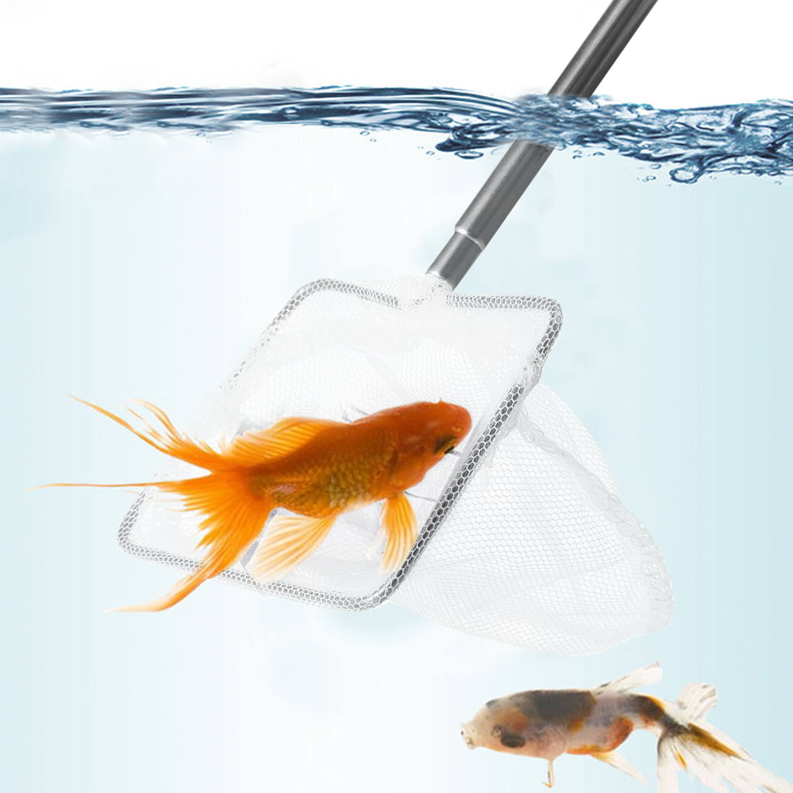 Filet d'aquarium en acier inox - Aquarium Fish Net Small avis et prix