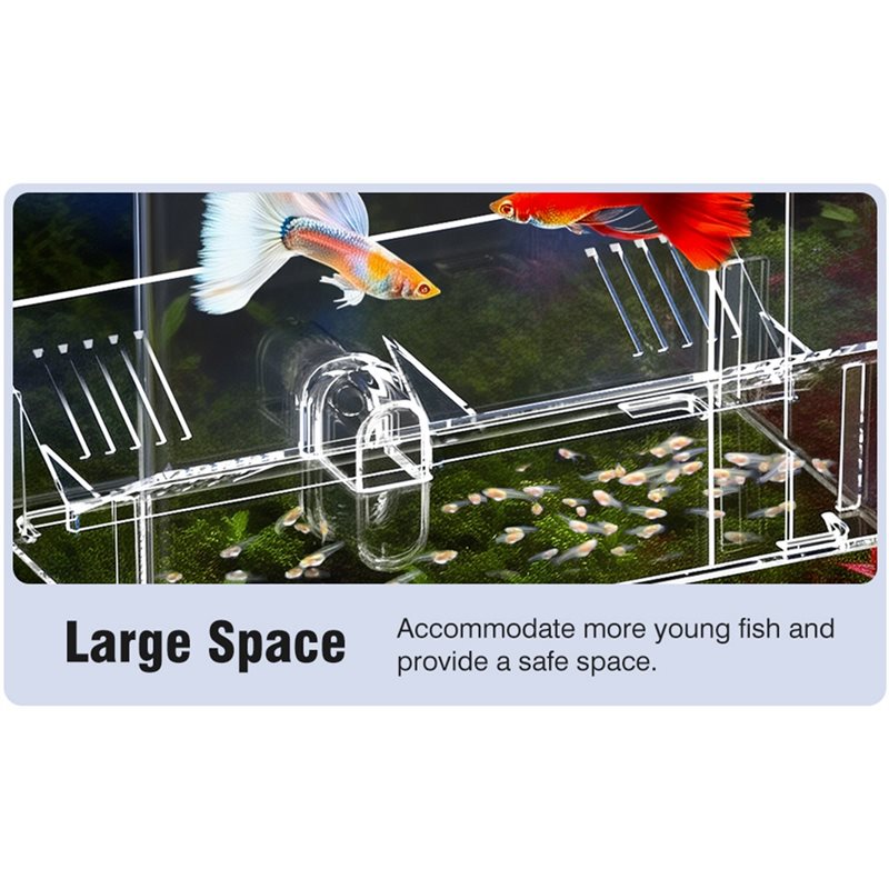 Boîte d'élevage de poissons A2 - Aquarium Fish Jar avis et prix