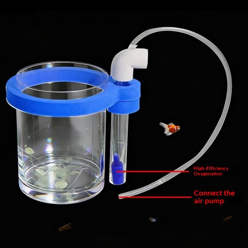 Boîte d'élevage de poissons en - Aquarium Fish Jar avis et prix
