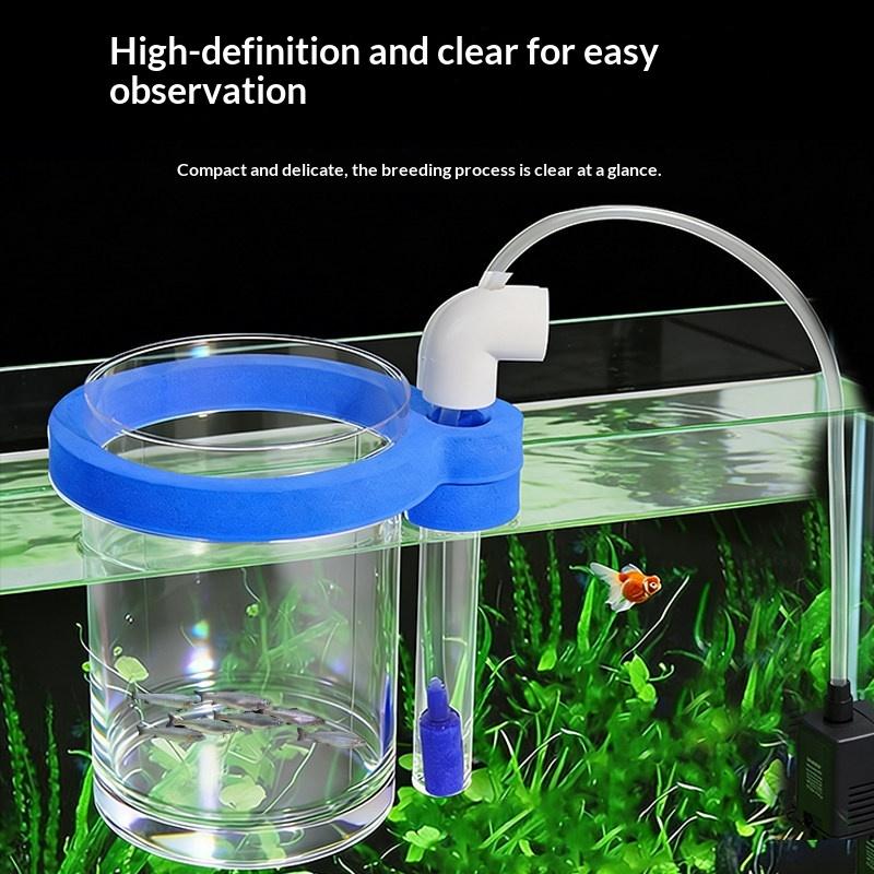 Boîte d'élevage de poissons en - Aquarium Fish Jar avis et prix