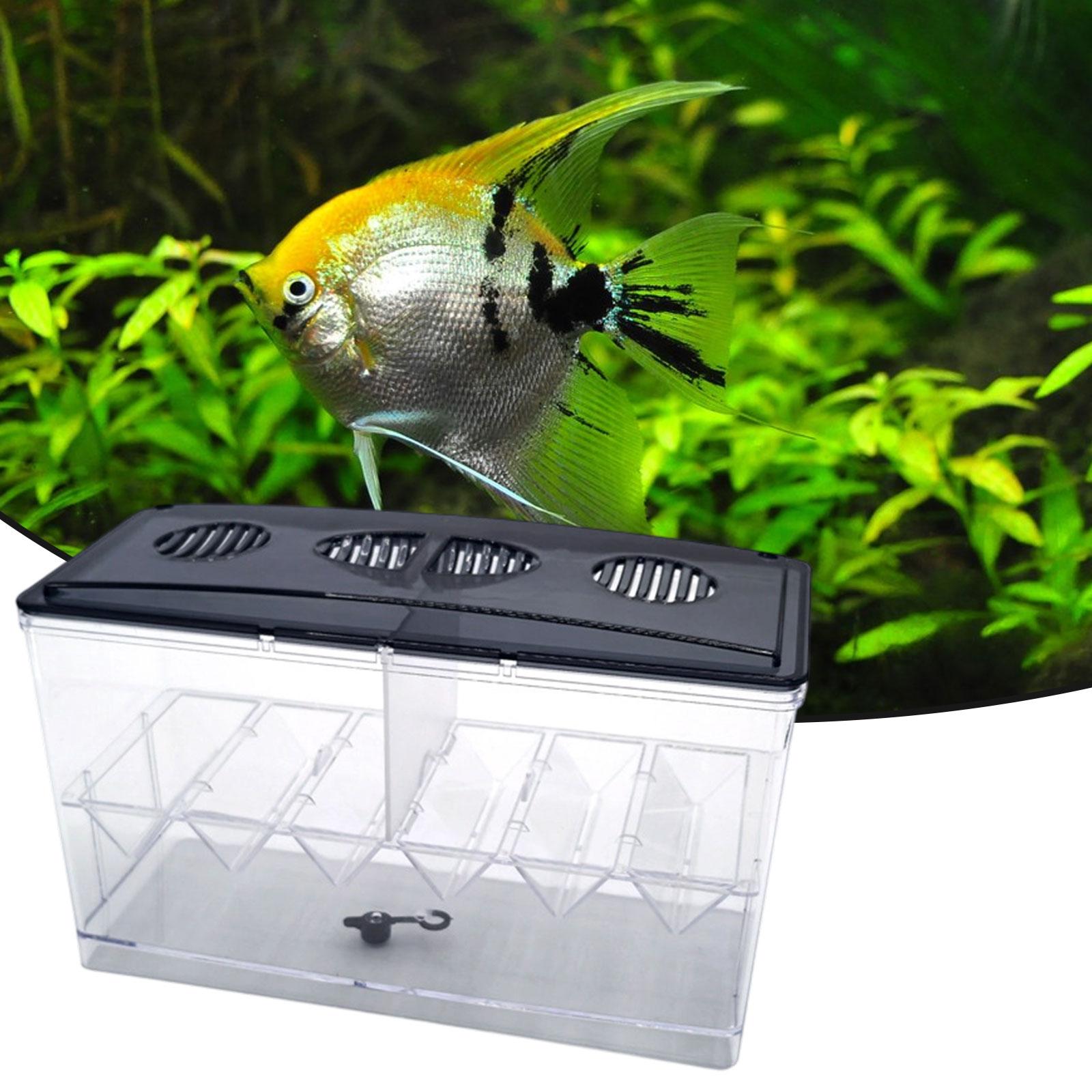 Boîte d'isolation flottante po - Aquarium Fish Jar avis et prix