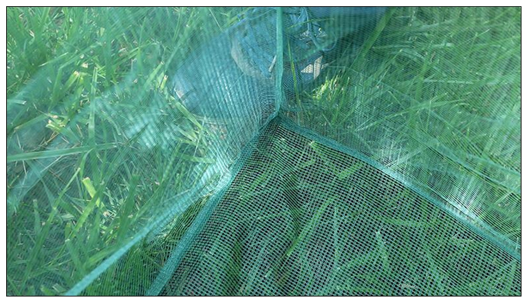 Piquet de pêche à petite maill - Aquarium Fish Net Small avis et prix