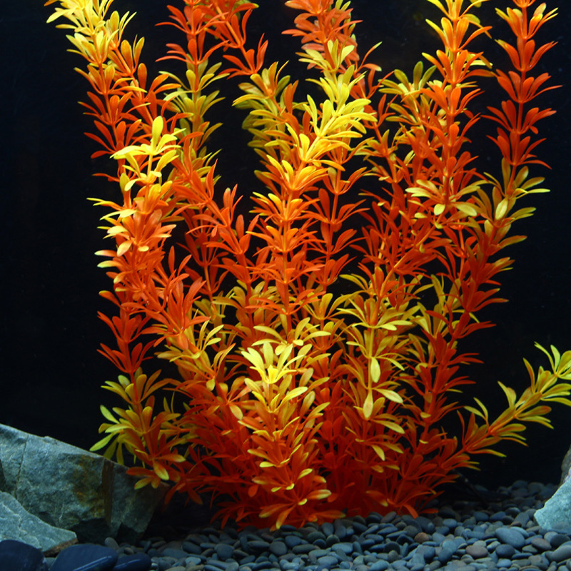 Plantes tropicales artificiell - Aquarium Fish Buy avis et prix