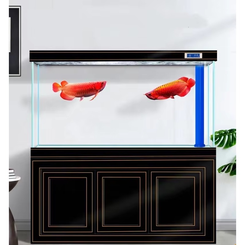 Aquarium de salon, maison, ver - Aquarium Fish Dragon avis et prix
