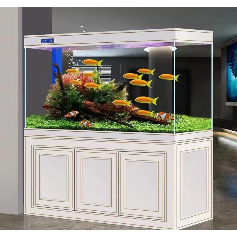 Aquarium de salon, maison, ver - Aquarium Fish Dragon avis et prix