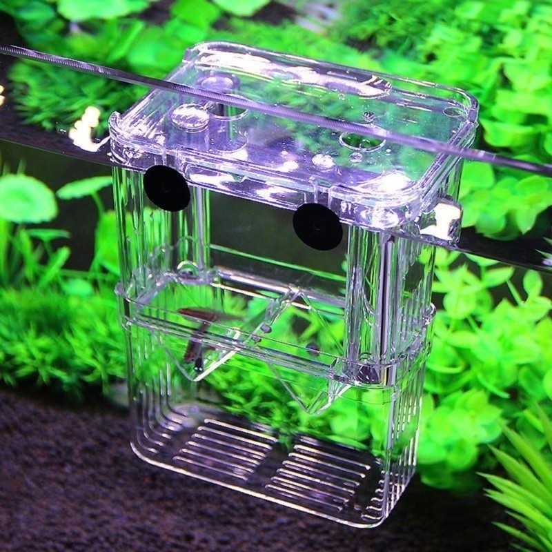 Boîte d'isolation multifonctio - Aquarium Fish Jar avis et prix