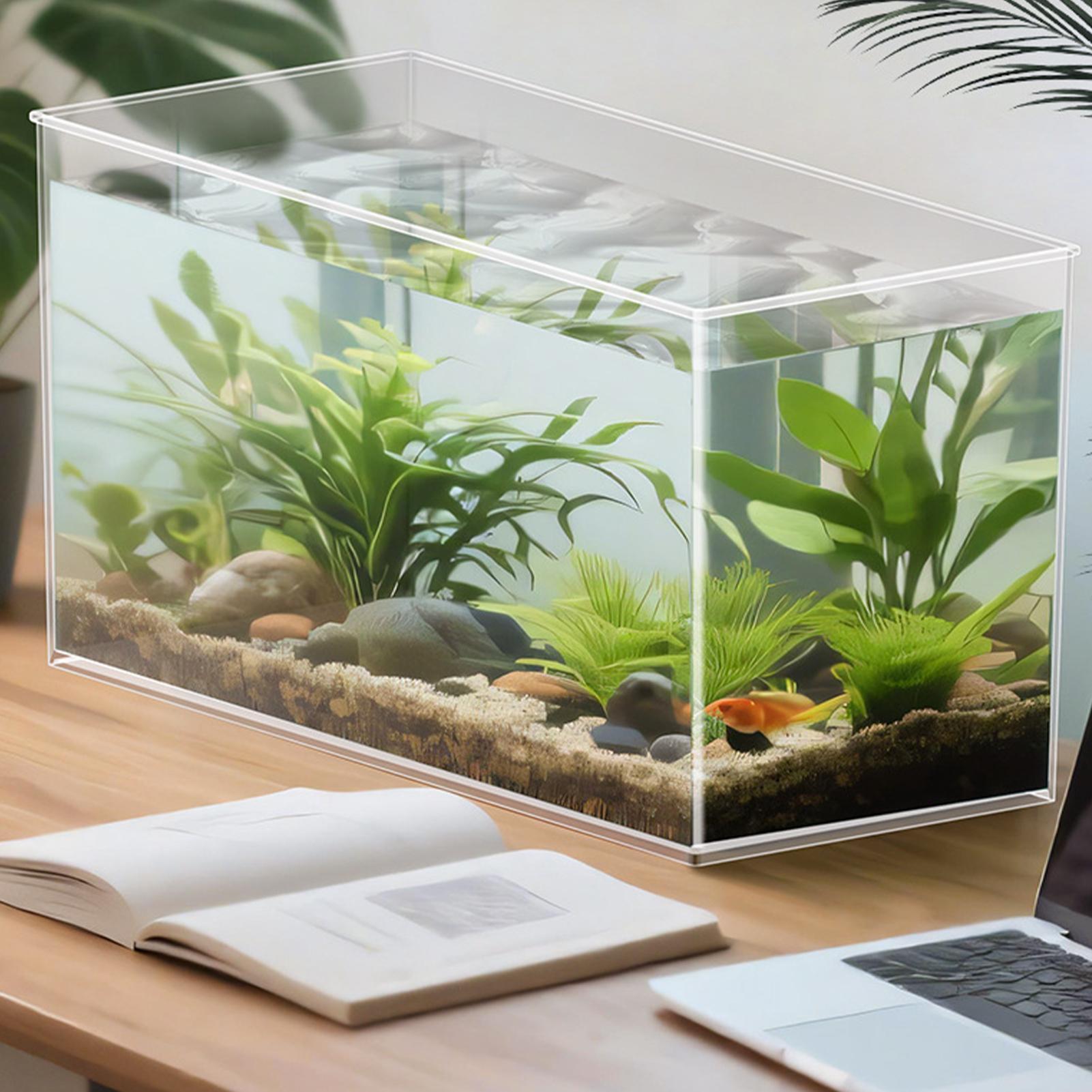 Mini aquarium pour betta en ve - Aquarium Xxl avis et prix