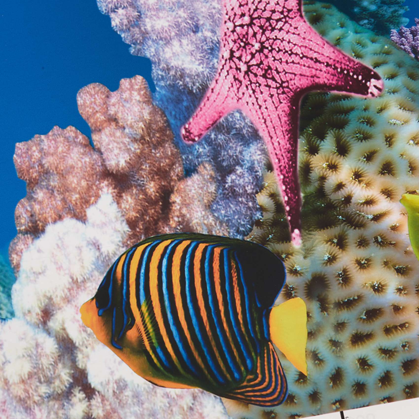 BAAU Aquarium fond papier HD i - Aquarium Fish Wallpaper Hd avis et prix