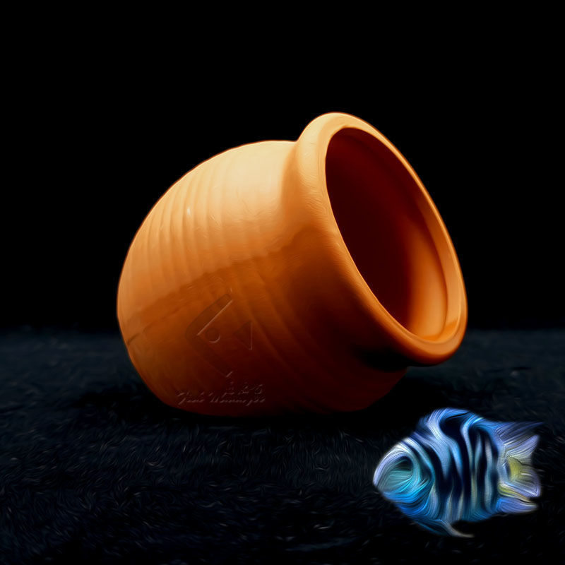 Aquarium Mini réservoir en cér - Aquarium Fish Hiding Places avis et prix