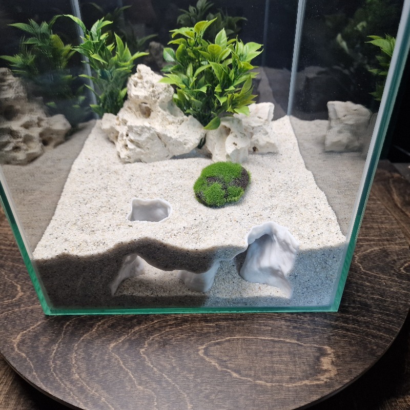 Décoration Premium pour Aquari - Aquarium Fish Hiding Places avis et prix